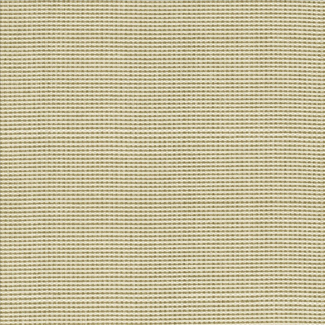 Lunar Crossing Natural by Kasmir Designer Fabric 1457 100% Polyester
 INDIA </p><p>Repeat: Horizontal: N/A and Vertical: N/A 56 - Swanky Fabrics -