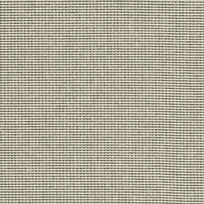 Lunar Crossing Panda by Kasmir Designer Fabric See sample 100% Polyester
 INDIA 30,000 Wyzenbeek Double Rubs </p><p>Repeat: Horizontal: N/A and Vertical: N/A 56 - Swanky Fabrics -