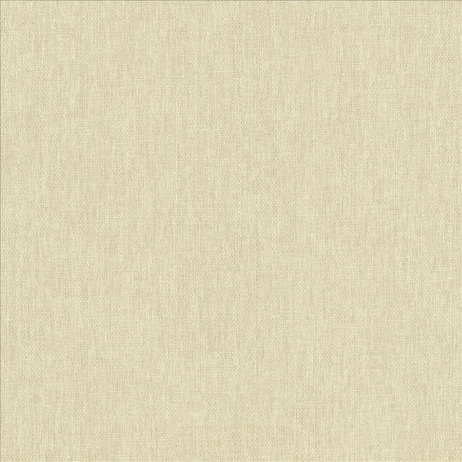 Mateo Chamois by Kasmir Designer Fabric 5165 100% Polyester
 INDIA </p><p>Repeat: Horizontal: N/A and Vertical: N/A 54 - Swanky Fabrics -