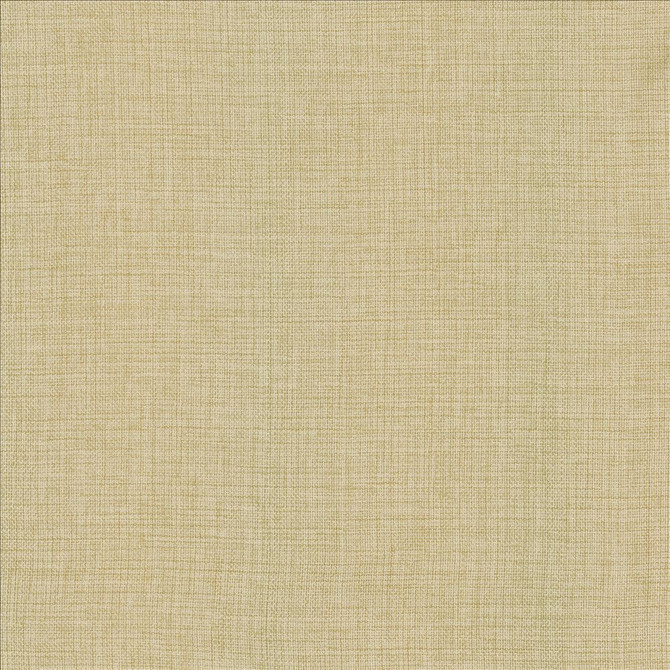 Maura Chamois by Kasmir Designer Fabric See sample 100% Polyester
 TURKEY Not Tested </p><p>Repeat: Horizontal: N/A and Vertical: N/A 57 - Swanky Fabrics -