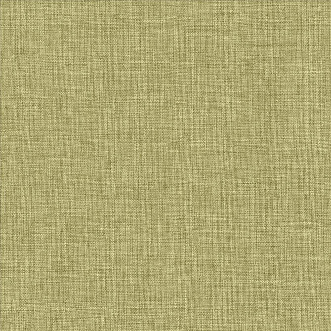 Maura Grass by Kasmir Designer Fabric 5165 100% Polyester
 TURKEY </p><p>Repeat: Horizontal: N/A and Vertical: N/A 57 - Swanky Fabrics -