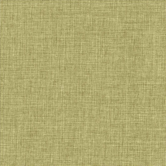 Maura Grass by Kasmir Designer Fabric 5165 100% Polyester
 TURKEY Not Tested </p><p>Repeat: Horizontal: N/A and Vertical: N/A 57 - Swanky Fabrics -