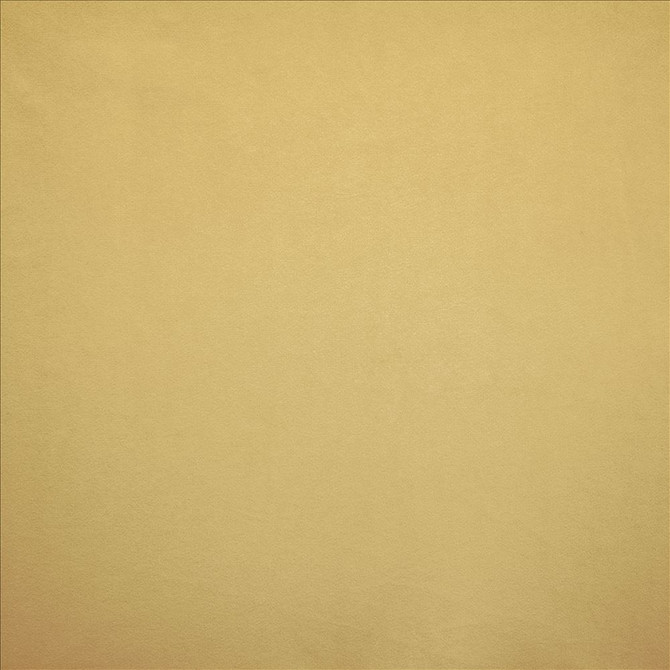 Nampara Antique by Kasmir Designer Fabric 5167 100% Polyester
 CHINA </p><p>Repeat: Horizontal: N/A and Vertical: N/A 58 - Swanky Fabrics -