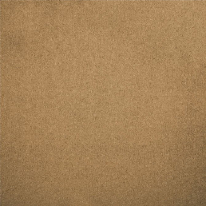 Nampara Cappuccino by Kasmir Designer Fabric 5167 100% Polyester
 CHINA </p><p>Repeat: Horizontal: N/A and Vertical: N/A 58 - Swanky Fabrics -