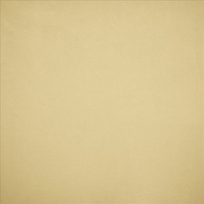 Nampara Ecru by Kasmir Designer Fabric See sample 100% Polyester
 CHINA 105,000 Wyzenbeek Double Rubs </p><p>Repeat: Horizontal: N/A and Vertical: N/A 58 - Swanky Fabrics -