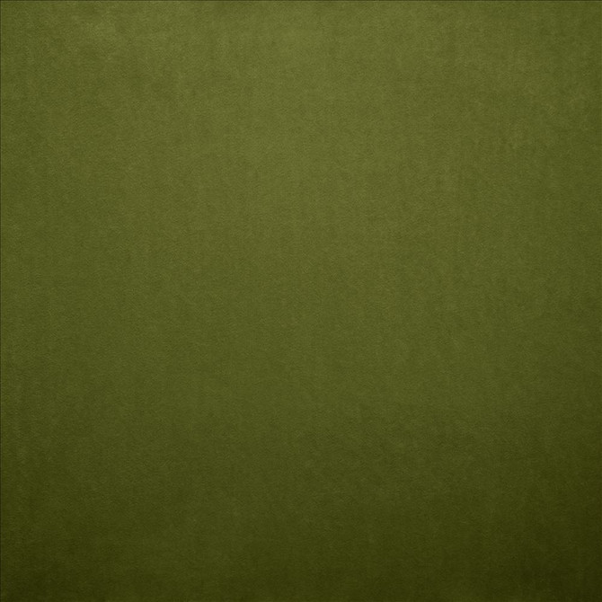 Nampara Fern by Kasmir Designer Fabric 5167 100% Polyester
 CHINA </p><p>Repeat: Horizontal: N/A and Vertical: N/A 58 - Swanky Fabrics -