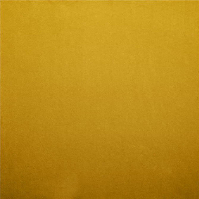 Nampara Gold by Kasmir Designer Fabric See sample 100% Polyester
 CHINA 105,000 Wyzenbeek Double Rubs </p><p>Repeat: Horizontal: N/A and Vertical: N/A 58 - Swanky Fabrics -