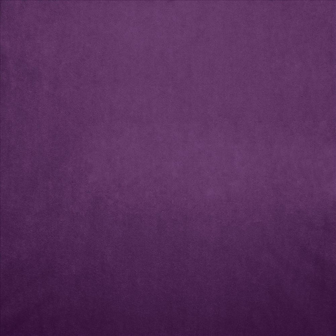 Nampara Grape by Kasmir Designer Fabric 5167 100% Polyester
 CHINA 105,000 Wyzenbeek Double Rubs </p><p>Repeat: Horizontal: N/A and Vertical: N/A 58 - Swanky Fabrics -