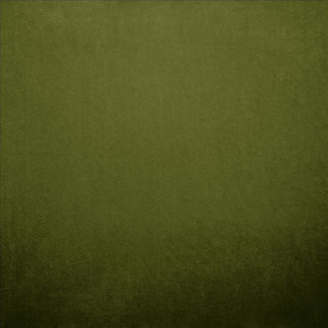 Nampara Green by Kasmir Designer Fabric See sample 100% Polyester
 CHINA 105,000 Wyzenbeek Double Rubs </p><p>Repeat: Horizontal: N/A and Vertical: N/A 58 - Swanky Fabrics -