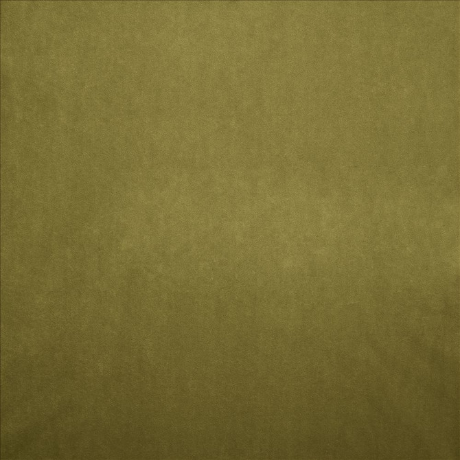 Nampara Olive  by Kasmir Designer Fabric 5167 100% Polyester
 CHINA 105,000 Wyzenbeek Double Rubs Horizontal: N/A and Vertical: N/A 58  - Swanky Fabrics -