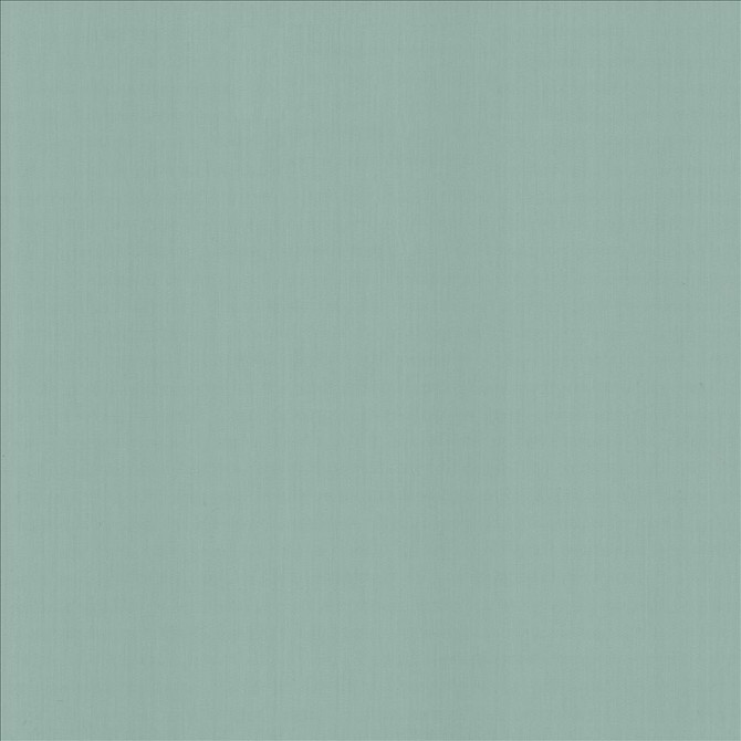 Perception Baltic  by Kasmir Designer Fabric 5174 100% Cotton
 INDIA 21,000 Wyzenbeek Double Rubs Horizontal: N/A and Vertical: N/A 54  - Swanky Fabrics -