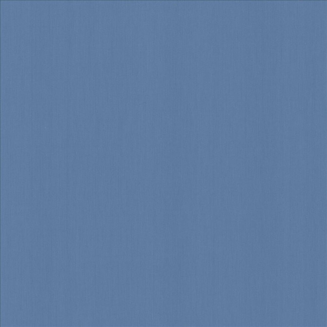 Perception Coastal by Kasmir Designer Fabric 5174 100% Cotton
 INDIA 21,000 Wyzenbeek Double Rubs </p><p>Repeat: Horizontal: N/A and Vertical: N/A 54 - Swanky Fabrics -