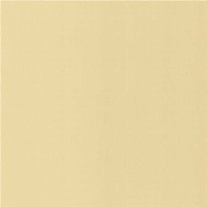 Perception Ecru by Kasmir Designer Fabric 5174 100% Cotton
 INDIA </p><p>Repeat: Horizontal: N/A and Vertical: N/A 54 - Swanky Fabrics -