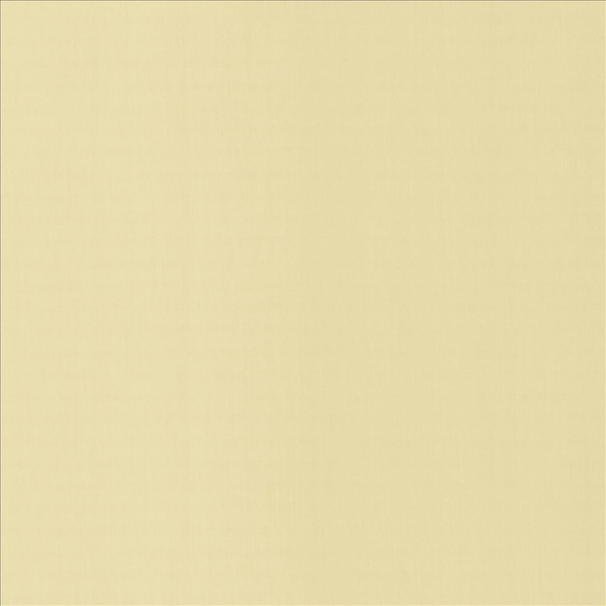 Perception Ecru by Kasmir Designer Fabric 5174 100% Cotton
 INDIA 21,000 Wyzenbeek Double Rubs </p><p>Repeat: Horizontal: N/A and Vertical: N/A 54 - Swanky Fabrics -