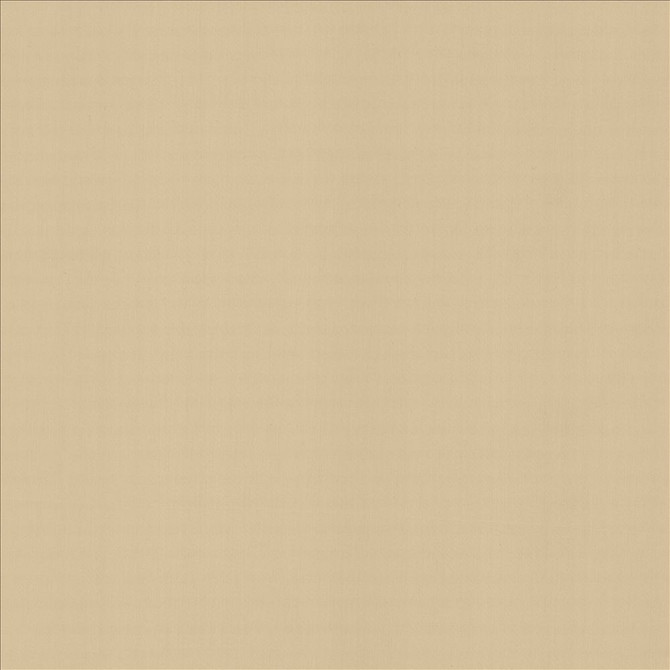 Perception Muslin by Kasmir Designer Fabric See sample 100% Cotton
 INDIA 21,000 Wyzenbeek Double Rubs </p><p>Repeat: Horizontal: N/A and Vertical: N/A 54 - Swanky Fabrics -