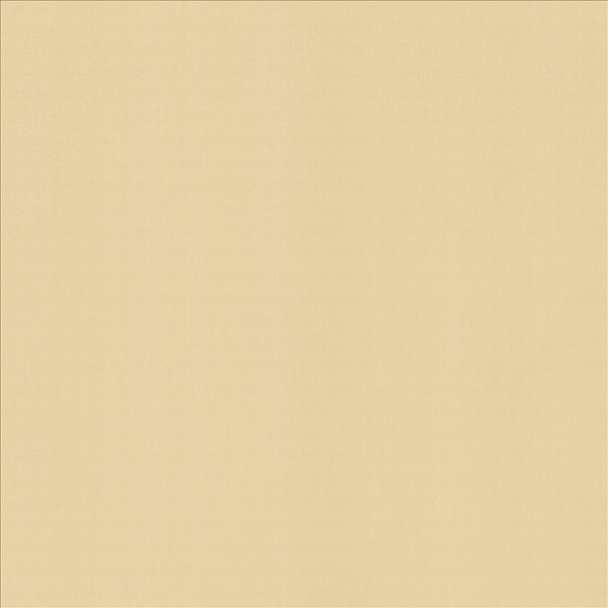 Perception Muslin by Kasmir Designer Fabric 5174 100% Cotton
 INDIA </p><p>Repeat: Horizontal: N/A and Vertical: N/A 54 - Swanky Fabrics -