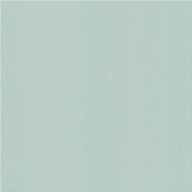 Perception Spray  by Kasmir Designer Fabric 5174 100% Cotton
 INDIA 21,000 Wyzenbeek Double Rubs Horizontal: N/A and Vertical: N/A 54  - Swanky Fabrics -