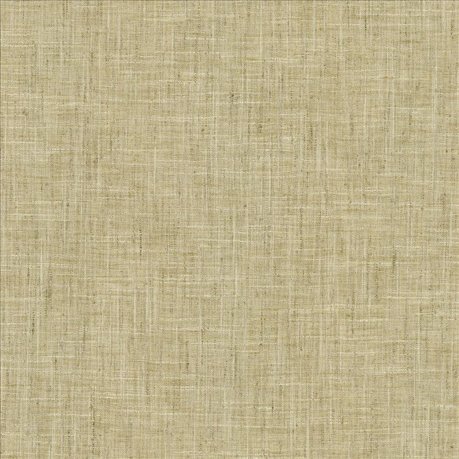 Photo Finish Flannel by Kasmir Designer Fabric See sample 100% Polyester
 INDIA 12,000 Wyzenbeek Double Rubs </p><p>Repeat: Horizontal: N/A and Vertical: N/A 54 - Swanky Fabrics -