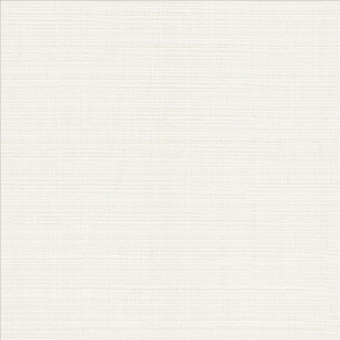 Resilient White by Kasmir Designer Fabric 5173 100% Polyester
 CHINA </p><p>Repeat: Horizontal: N/A and Vertical: N/A 54 - Swanky Fabrics -