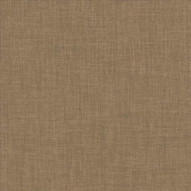 Robust Latte by Kasmir Designer Fabric 5173 100% Polyester
 CHINA </p><p>Repeat: Horizontal: N/A and Vertical: N/A 54 - Swanky Fabrics -