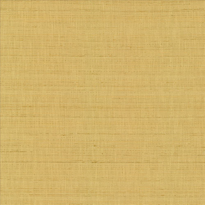 With A View Camel by Kasmir Designer Fabric 5170 63% Polyester
37% Cotton
 INDIA 50,000 Wyzenbeek Double Rubs </p><p>Repeat: Horizontal: N/A and Vertical: N/A 54 - Swanky Fabrics -