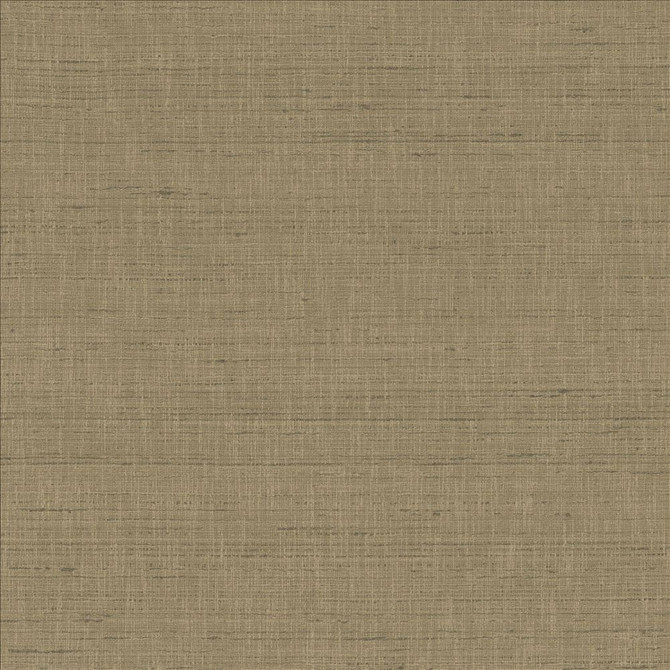 With A View Concrete by Kasmir Designer Fabric 5170 63% Polyester
37% Cotton
 INDIA 50,000 Wyzenbeek Double Rubs </p><p>Repeat: Horizontal: N/A and Vertical: N/A 54 - Swanky Fabrics -