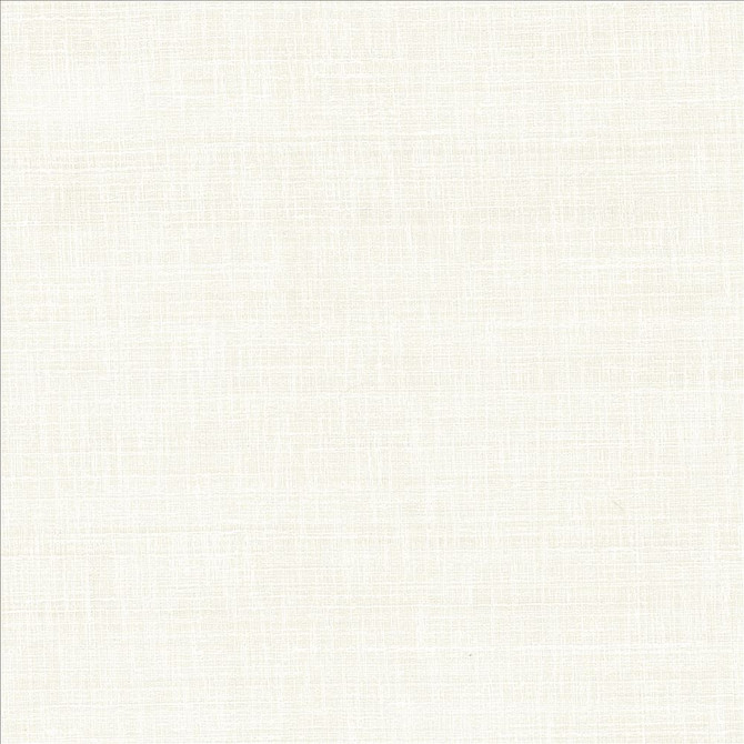 With A View Snow by Kasmir Designer Fabric 5170 63% Polyester
37% Cotton
 INDIA 50,000 Wyzenbeek Double Rubs </p><p>Repeat: Horizontal: N/A and Vertical: N/A 54 - Swanky Fabrics -