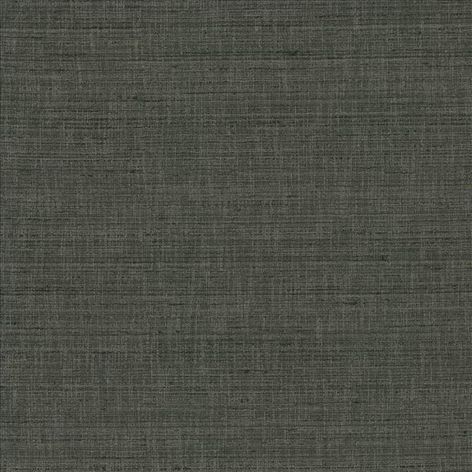 With A View Stone by Kasmir Designer Fabric 5170 63% Polyester
37% Cotton
 INDIA 50,000 Wyzenbeek Double Rubs </p><p>Repeat: Horizontal: N/A and Vertical: N/A 54 - Swanky Fabrics -