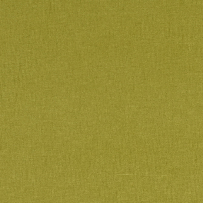F1097 10 Alora Citrus by Clarke and Clarke Designer Fabric STUDIO G COTTON - 100% Spain HEAVY Horizontal: 0 and Vertical: 0 54 - Swanky Fabrics -