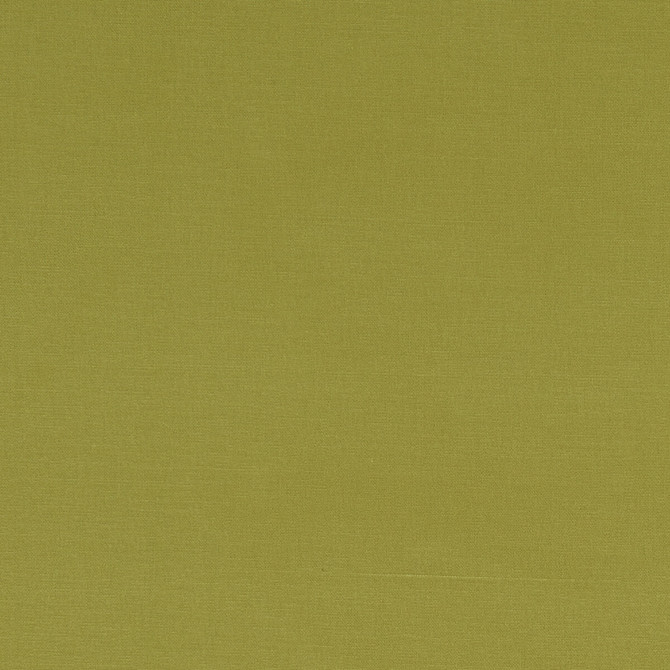Alora Citrus by Clarke And Clarke Designer Fabric CLARKE & CLARKE ALORA COTTON - 100% Spain HEAVY Horizontal: 0 and Vertical: 0 54 - Swanky Fabrics -