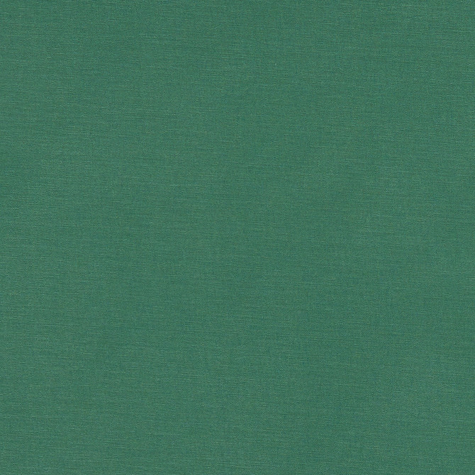 F1097 31 Alora Leaf by Clarke and Clarke Designer Fabric STUDIO G COTTON - 100% Spain HEAVY Horizontal: 0 and Vertical: 0 54 - Swanky Fabrics -