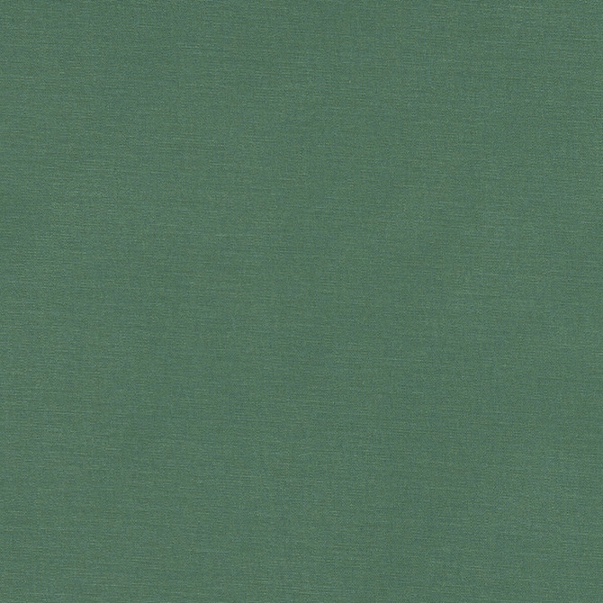 Alora Leaf by Clarke And Clarke Designer Fabric CLARKE & CLARKE ALORA COTTON - 100% Spain HEAVY Horizontal: 0 and Vertical: 0 54 - Swanky Fabrics -