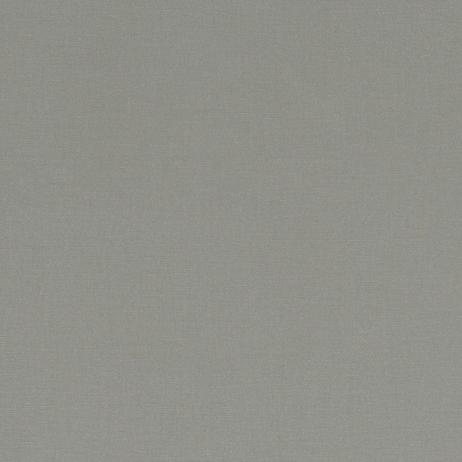 F1097 58 Alora Smoke by Clarke and Clarke Designer Fabric STUDIO G COTTON - 100% Spain HEAVY Horizontal: 0 and Vertical: 0 54 - Swanky Fabrics -