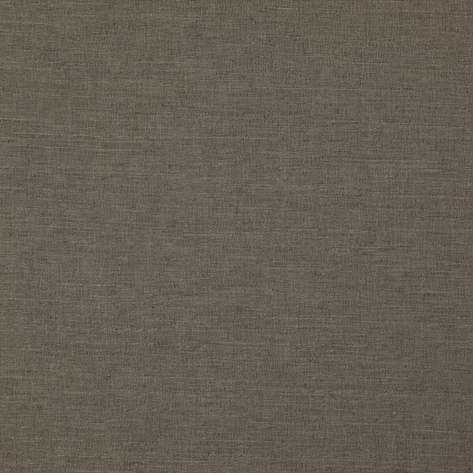 Boston Fossil by Clarke And Clarke Designer Fabric CLARKE & CLARKE BOSTON POLYESTER FR - 100% India HEAVY Horizontal: - and Vertical: - 56.75 - Swanky Fabrics -