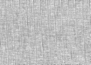 Mesh White by Norbar Designer Fabric SHEER STYLE 100% POLYESTER EUROPE 118 - Swanky Fabrics -