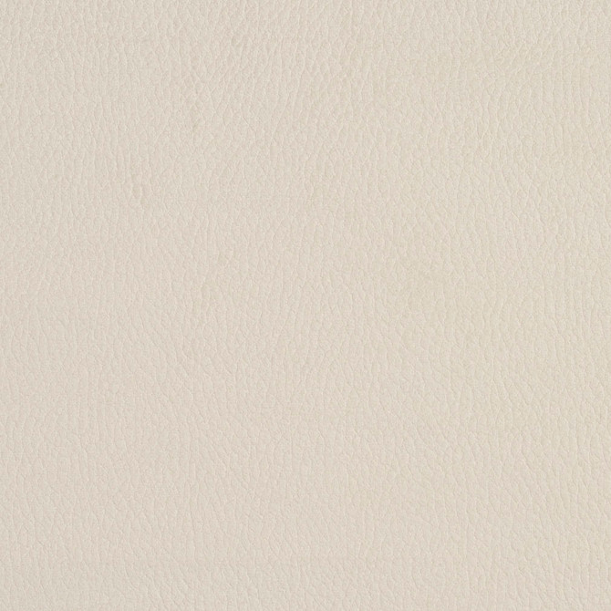 2922 Eggshell by Charlotte Designer Fabric Ring Book Page #4A 100% Woven Polyester Asia Exceeds 190,000 Wyzenbeek Rubs (Heavy Duty) </p><p>Repeat: 54 Inches - Swanky Fabrics -