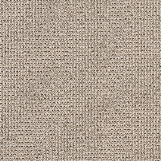 D1447 Ecru Texture by Charlotte Designer Fabric Vibrant Wovens 100% Woven Polypropylene Europe Exceeds 100,000 Wyzenbeek Rubs (Heavy Duty) No Repeat 54 Inches - Swanky Fabrics -