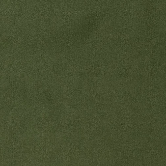 D1471 Jade by Charlotte Designer Fabric Eco Velvet 100% Polyester China Exceeds 200,000 Wyzenbeek Rubs (Heavy Duty) No Repeat 54 Inches - Swanky Fabrics -