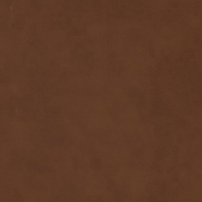 V515 Sepia by Charlotte Designer Fabric Breathables IV 100% Breathable Polyurethane, 26oz. China Exceeds 250,000 Wyzenbeek Rubs (Heavy Duty) No Repeat 54 Inches - Swanky Fabrics -
