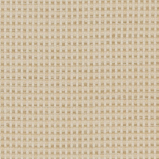 CB700-374 by Charlotte Designer Fabric Shades of Neutral 100% Woven Polyester China Exceeds 60,000 Wyzenbeek Rubs (Heavy Duty) No Repeat 54 Inches - Swanky Fabrics -