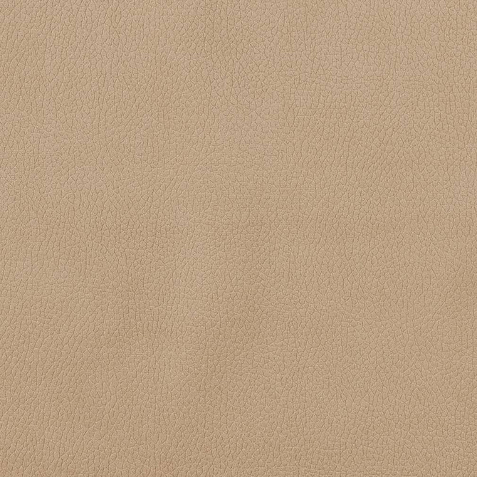 CB600-156 by Charlotte Designer Fabric Shades of Neutral 100% Woven Polyester China Exceeds 190,000 Wyzenbeek Rubs (Heavy Duty) No Repeat 54 Inches - Swanky Fabrics -