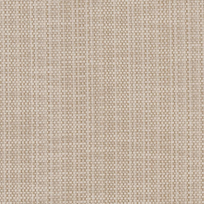 CB700-359 by Charlotte Designer Fabric Shades of Neutral 64% Cotton, 36% Polyester China Exceeds 100,000 Wyzenbeek Rubs (Heavy Duty) No Repeat 54 Inches - Swanky Fabrics -