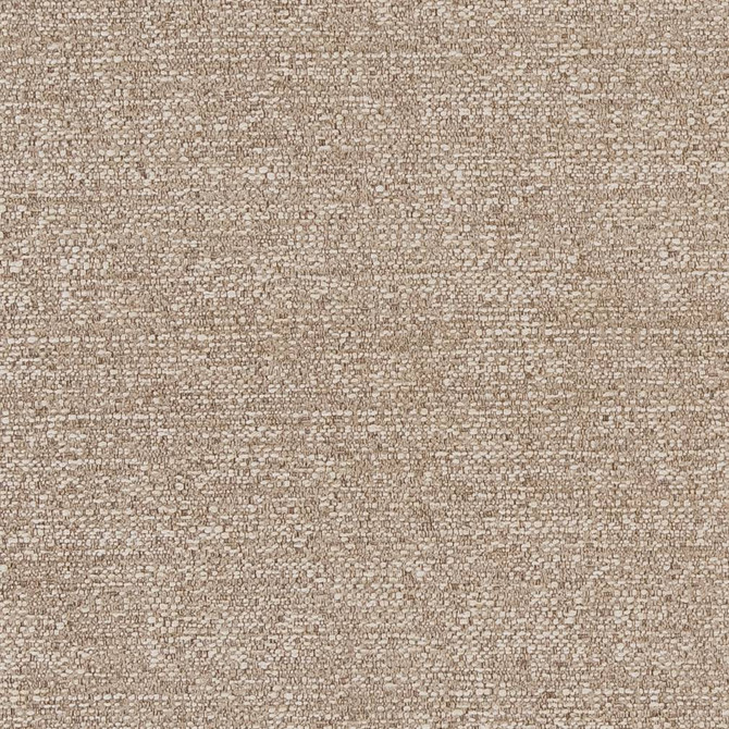 CB700-379 by Charlotte Designer Fabric Shades of Neutral 100% Woven Polyester China Exceeds 100,000 Wyzenbeek Rubs (Heavy Duty) No Repeat 54 Inches - Swanky Fabrics -