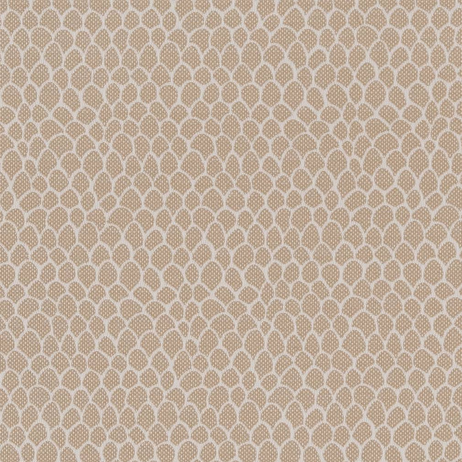 CB700-400 by Charlotte Designer Fabric Shades of Neutral 50% Polyester, 25% Cotton, 25% Acrylic Spain Exceeds 60,000 Wyzenbeek Rubs (Heavy Duty) </p><p>Repeat: 54 Inches - Swanky Fabrics -