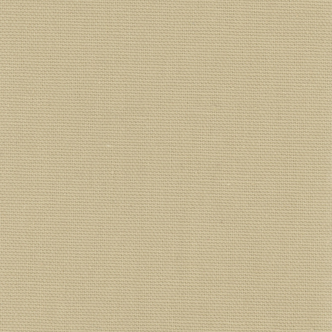 Daydreamer Raffia by Carole Designer Fabric Daydreaming 100% Cotton- Soil Release USA Passes 30,000 Double Rubs Wyzenbeek Horizontal: 0 and Vertical: 0 54 - Swanky Fabrics -