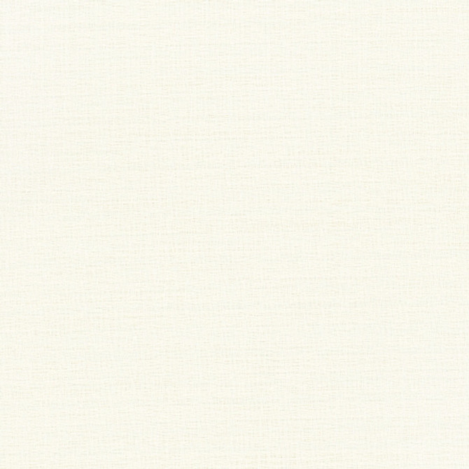 Trampoline Ivory by Carole Designer Fabric For The Window 100% Polyester Turkey None 60" - Swanky Fabrics -