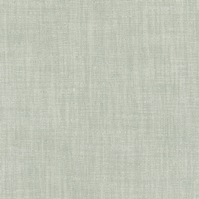 Athlete Ivy by Carole Designer Fabric Celadon 60% Cotton, 40% Polyester India Passes 50,000 Double Rubs Wyzenbeek None 55" - Swanky Fabrics -