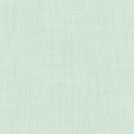 Athlete Seafoam by Carole Designer Fabric Celadon 60% Cotton, 40% Polyester India Passes 50,000 Double Rubs Wyzenbeek </p><p>Repeat: None 55" - Swanky Fabrics -