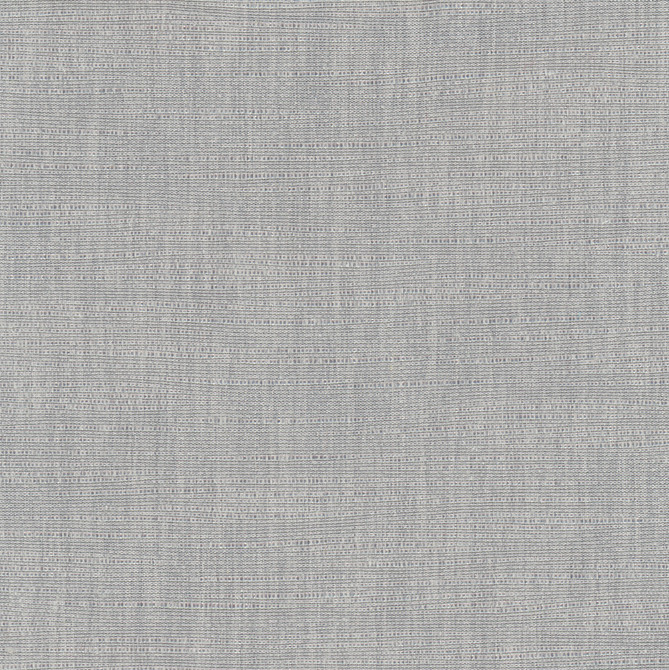 Athlete Concrete by Carole Designer Fabric Pewter 60% Cotton, 40% Polyester India Passes 50,000 Double Rubs Wyzenbeek Horizontal: 0 and Vertical: 0 55 - Swanky Fabrics -