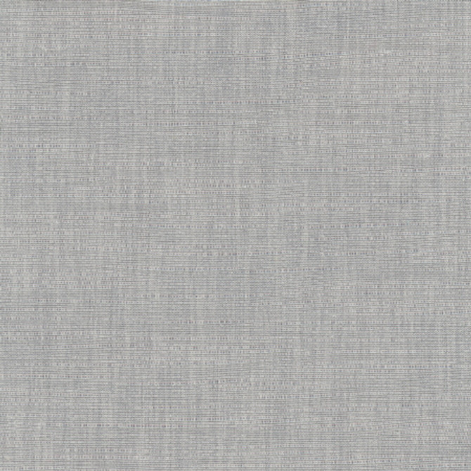 Athlete Concrete by Carole Designer Fabric Pewter 60% Cotton, 40% Polyester India Passes 50,000 Double Rubs Wyzenbeek None 55" - Swanky Fabrics -